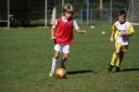 IMG_6883-2_resize.jpg