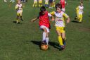 IMG_6898-2_resize.jpg