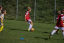 IMG_6899-2_resize.jpg