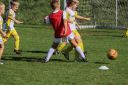 IMG_6902-2_resize.jpg
