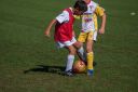 IMG_6908_resize.jpg