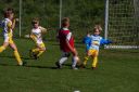 IMG_6912_resize.jpg