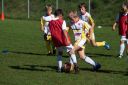IMG_6916_resize.jpg