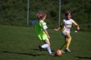 IMG_6920_resize.jpg