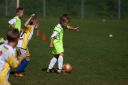 IMG_6935_resize.jpg