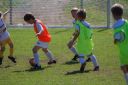IMG_6941_resize.jpg