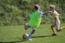 IMG_6951_resize.jpg
