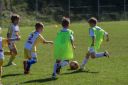 IMG_6960_resize.jpg