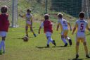 IMG_6964_resize.jpg
