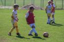 IMG_6969_resize.jpg