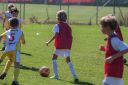 IMG_6970_resize.jpg