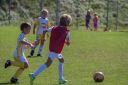 IMG_6982_resize.jpg