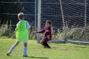 IMG_7005_resize.jpg