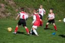 IMG_7040.jpg