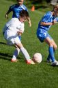 IMG_7074.jpg