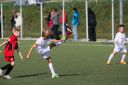 IMG_7142-2_resize.jpg