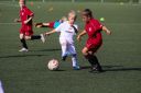IMG_7144-2_resize.jpg