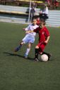 IMG_7152-2_resize.jpg