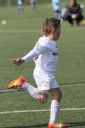 IMG_7189_resize.JPG