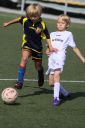 IMG_7192-2_resize.jpg