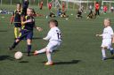 IMG_7220-2_resize.jpg