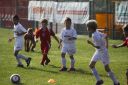 IMG_7339-2_resize.jpg