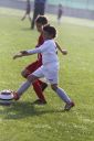 IMG_7341-2_resize.jpg