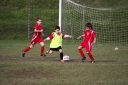 IMG_7530-2_resize.jpg