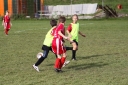 IMG_7543-2_resize.jpg