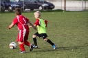 IMG_7548-2_resize.jpg