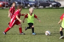 IMG_7550-2_resize.jpg